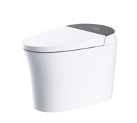 Aquaflo Smart Toilet Grey